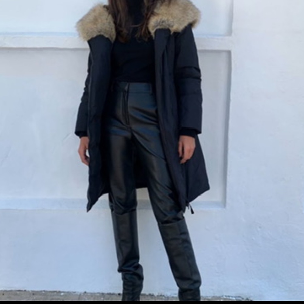 Aritzia Babaton St Mortiz Parka